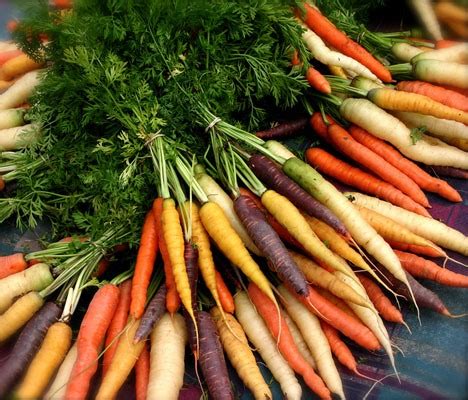Male and female animals name list. 10 Health benefits of Carrot fruit that will amaze you