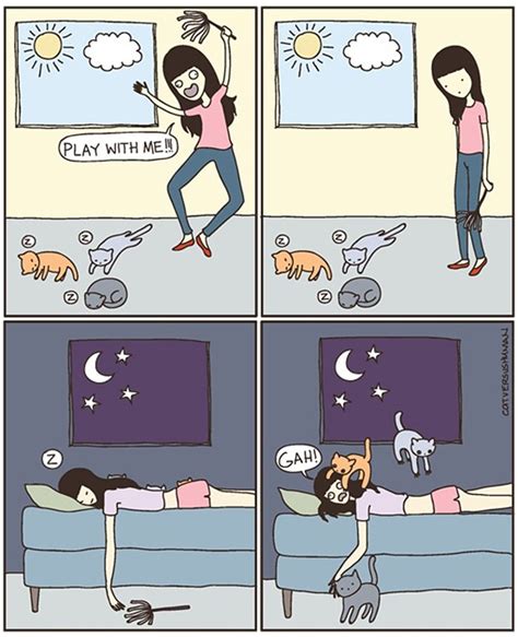 15 Funny Comics Reveal The Reality Of Owning A Cat Bored Panda