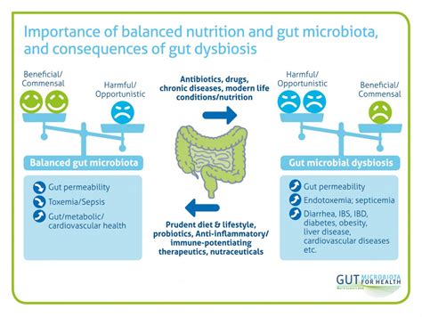 Gmfh2016 The Digital Press Folder Gut Microbiota For Health