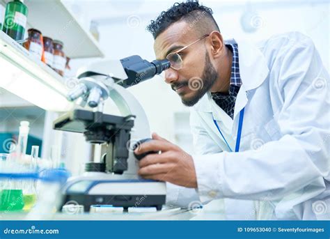 Scientist Using Microscope In Laboratory Stock Photo Image Of