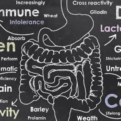 5 Signs That You May Have Leaky Gut Syndrome Labwell Healthcare