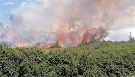 22 luglio 1970, la strage di ferroviaria di gioia tauro 22 luglio 2021 Allerta alta per gli incendi: oggi Sardegna a rischio ...