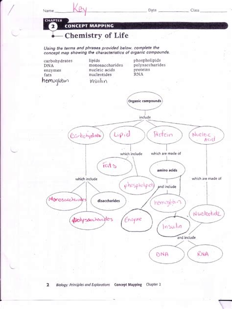 Chapter 2 The Chemistry Of Life Concept Map Answer Key Map Of World