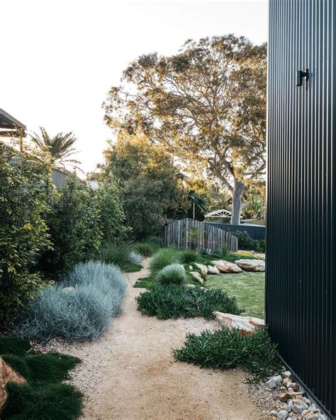 My Take On A Contemporary Australian Native Garden Architecture By