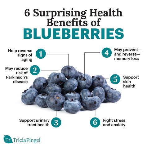 6 Health Benefits Of Blueberries Dr Pingel