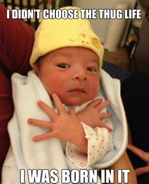 49 Best Funny Baby Memes Of All Time The Viraler