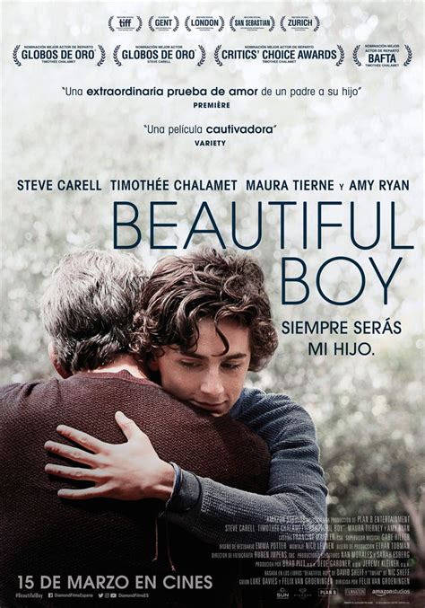 Beautiful Boy 2018