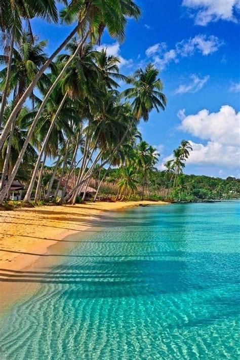 The Nicest Pictures: Caribbean Beach