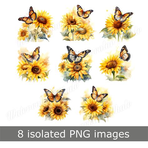 Watercolor Sunflower With Butterfly Clipart Transparent Png Inspire