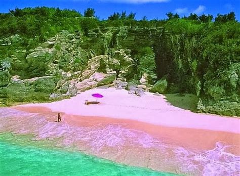 Más De 25 Ideas Increíbles Sobre Playa De Arena Rosa En Bahamas En
