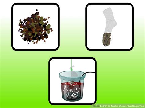 To feed, put all of your seedlings in a tray and add water to the tray, about 1/3 of the way full. How to Make Worm Castings Tea: 10 Steps (with Pictures ...