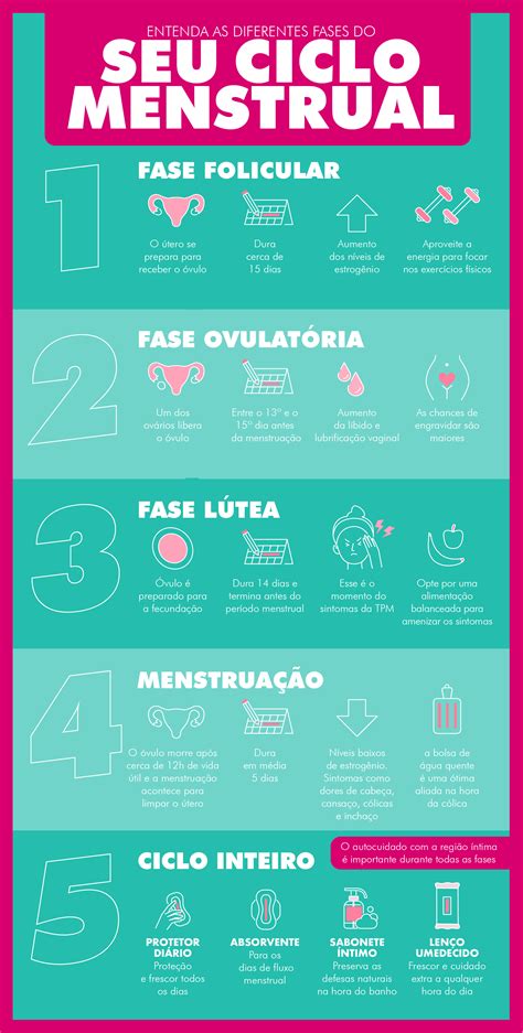 Ciclo Menstrual Suas Fases E Os Cuidados Necess Rios Em Cada Uma Delas