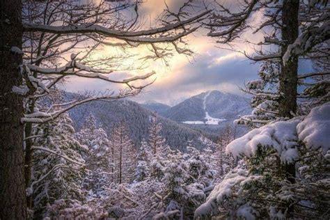 Landscape Nature Winter Sunset Forest Snow Mountain Clouds Cold