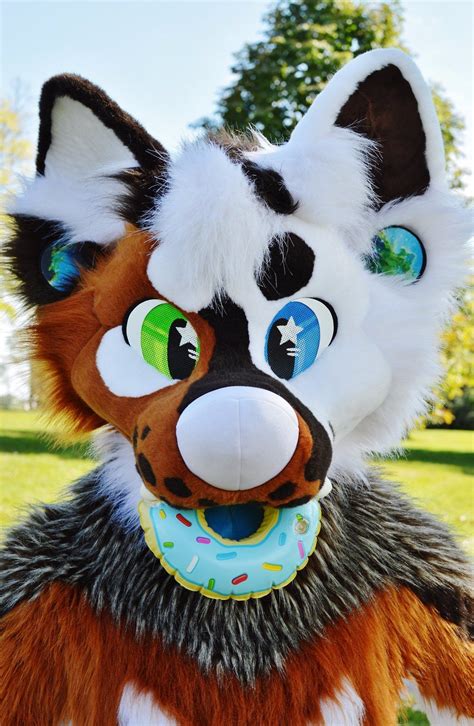 Starry Kitsune On Twitter Fursuit Furry Fursuit Anthro Furry Images And Photos Finder