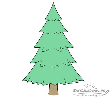 How To Draw A Pine Tree Step By Step Easylinedrawing