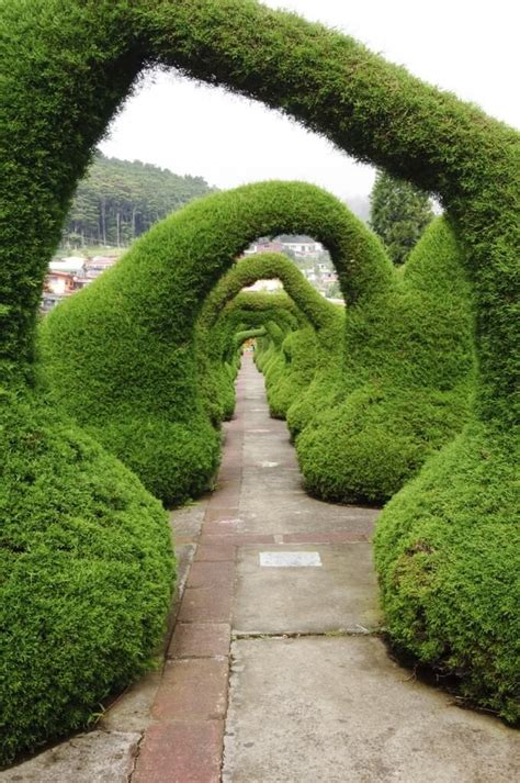 41 Incredible Garden Hedge Ideas For Your Yard With Images Garden