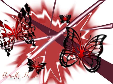 Butterflies By Wickedlady On Deviantart