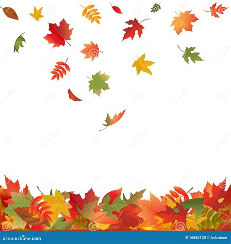 Falling Fall Leaves Vector Stock Vector Illustration Of Isolated