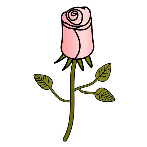 Gambar Bunga Mawar Merah Muda Sederhana Bunga Mawar Merah Muda Mawar
