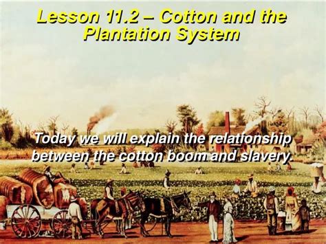 Ppt Lesson 112 Cotton And The Plantation System Powerpoint