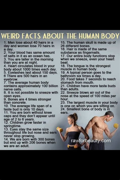 Weird Unbelievable Favs About The Human Body Musely