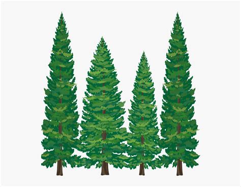 Transparent Pine Tree Clipart Clip Art Library