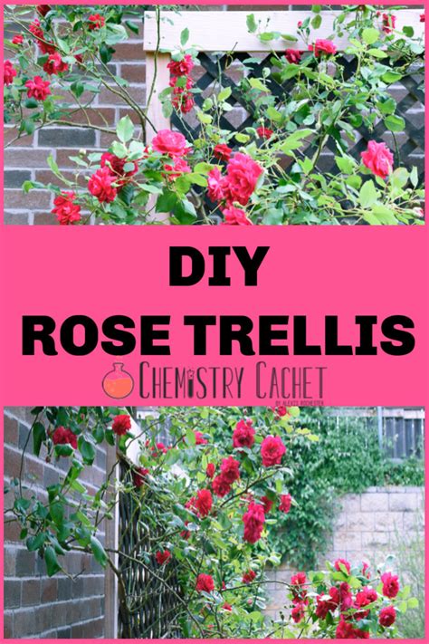 Easy Diy Rose Trellis Only A Few Supplies Needed