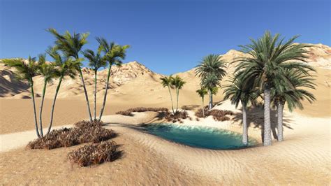 Desert Oasis Landscape Wallpapers 4k Hd Desert Oasis Landscape