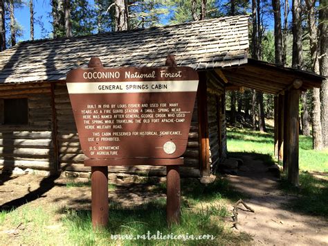 If you're looking to learn more about the mogollon rim area as you plan your trip, you've come to the right place. Mogollon Rim Cabins - HOME DECOR