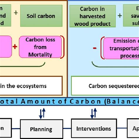 Illustration Of Carbon Balance Based On Gains And Loss As Well As