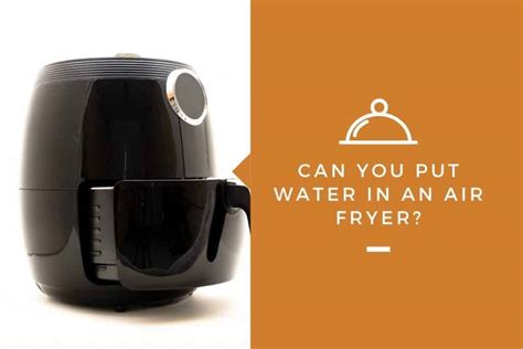 There are a variety of brands out there to choose from. Can You Put Water in an Air Fryer? - Kitchensnitches