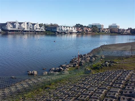 Maybe you would like to learn more about one of these? Travel Nursing in San Mateo, California | NurseFly