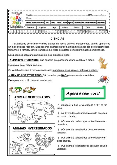 Atividades Animais Vertebrados E Invertebrados 3 Ano Edulearn