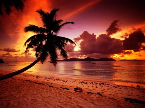 Tropical Sunsets Wallpapers Wallpaper Cave