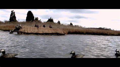 Diver Duck Seaduck Hunting Hd Action Hunting Divers Youtube