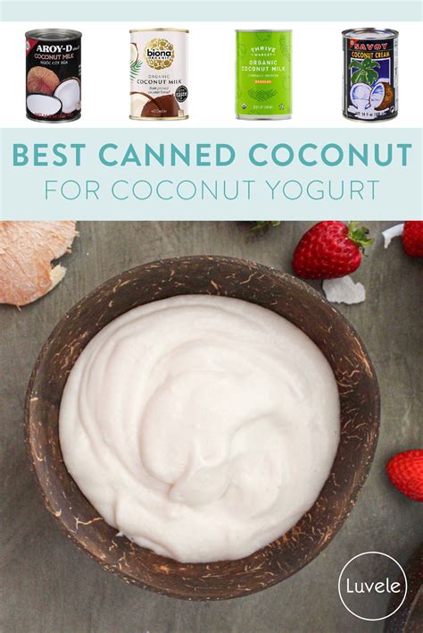 Best canned coconut milk for homemade coconut yogurt - Luvele UK