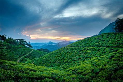 Best Fun Things To Do In Munnar 2021 Top Places To Visit Munnar