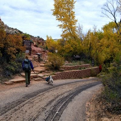 Maybe you would like to learn more about one of these? Hike to Lower Calf Creek Falls, Calf Creek Campground, Utah
