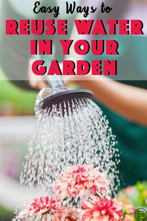 Easy Ways To Reuse Water In Your Garden Simple Living Creative Learning