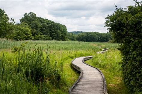 We hiked the piney river trail (accessed near the thornton gap entrance to skyline) which led to the range view cabin. 21 Appalachian Trail Statistics That Will Surprise ...