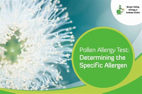 Pollen Allergy Test Determining A Specific Allergen