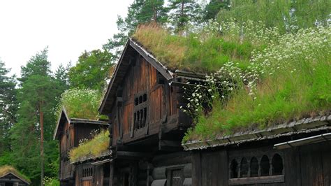 Beautiful Norwagian Village Houses With Green Grass Rooftop Norway
