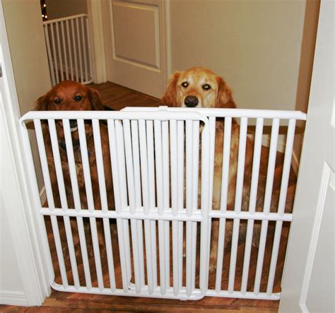 10 Wide Indoor Dog Gate Is Now Available From Rover Company