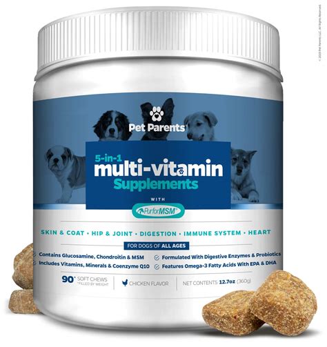 How much should you provide and what are the best methods? Best Vitamin E Dog - Your Best Life