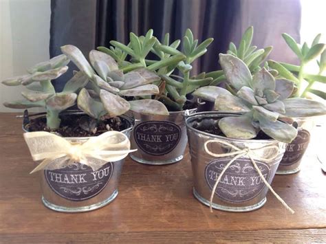 Diy Vintage Succulent Wedding Favors Snazzy Little Things