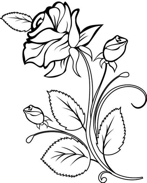 Dessin De Fleur A Imprimer Gratuit Impressionnant Photos Bouquet De