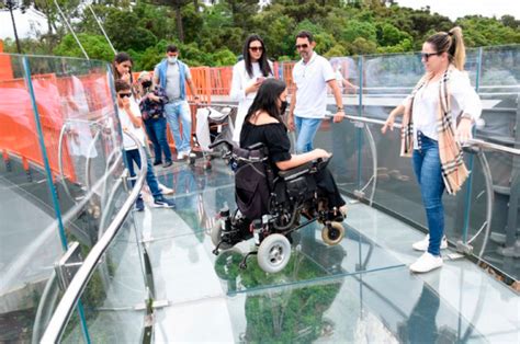 Ingresso Skyglass Canela Entrada Plataforma De Vidro Passeios Em Gramado E Canela