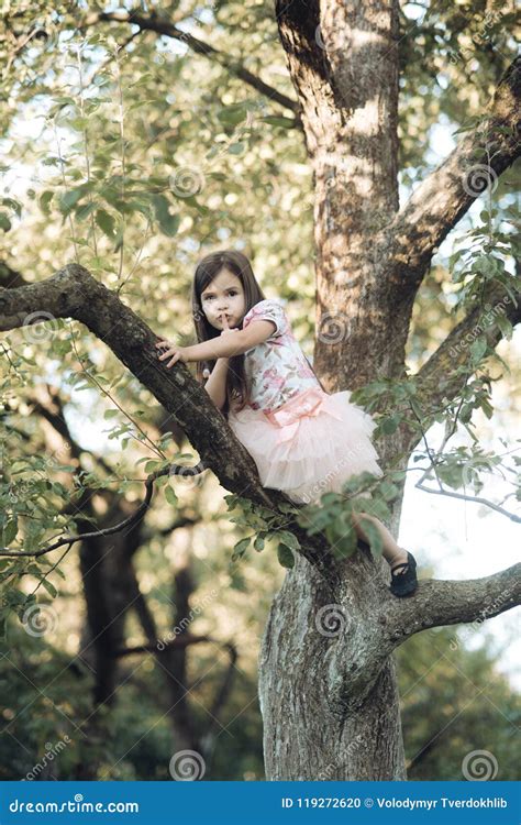 Activity Little Girl Climb Tree In Summer Garden Stock Photo Image