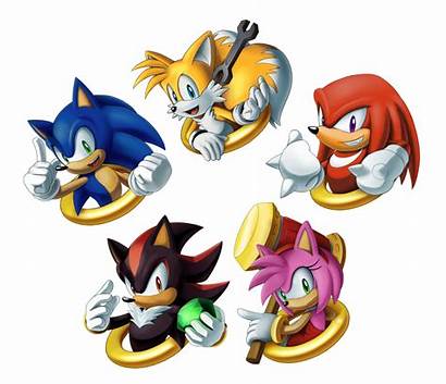 Sonic Hedgehog Amy Shadow Rose Charm Tails