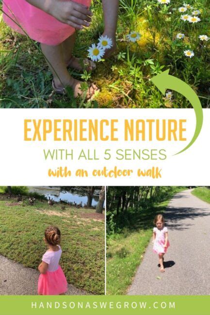 Experience Nature With A Simple Outdoor Sensory Walk Hoawg